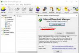 Internet Download Manager IDM 6